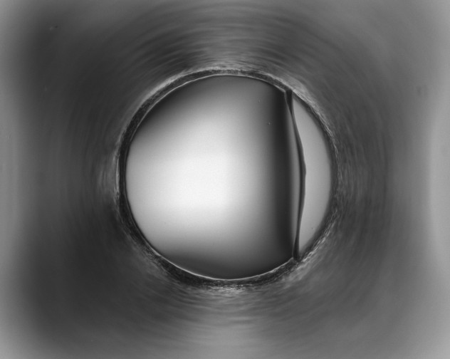 X0000088410838200706121413