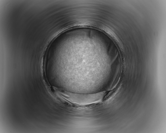 X0000088410842200706121413