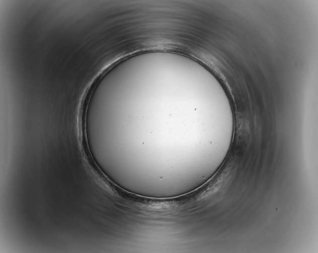 X0000088410843200706121413