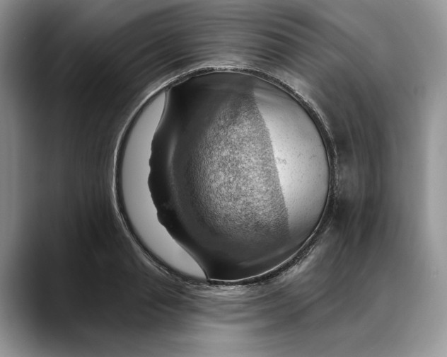 X0000088410845200706121413