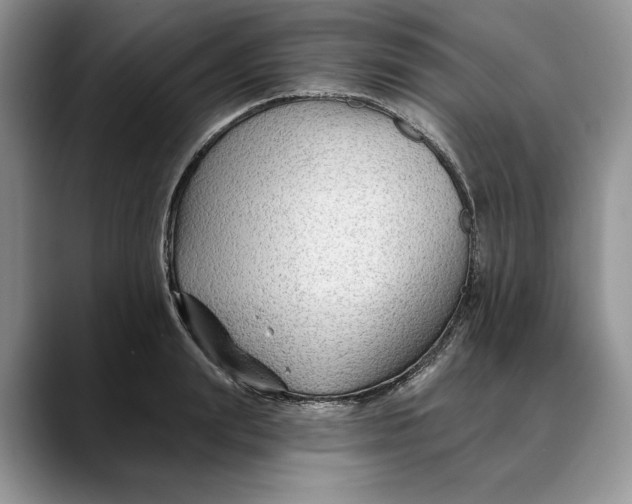 X0000088410847200706121413