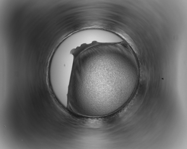 X0000088410850200706121413