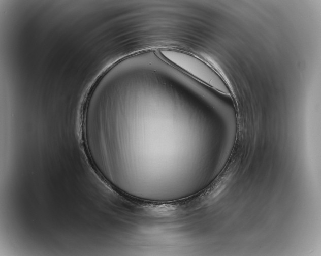 X0000088410851200706121413