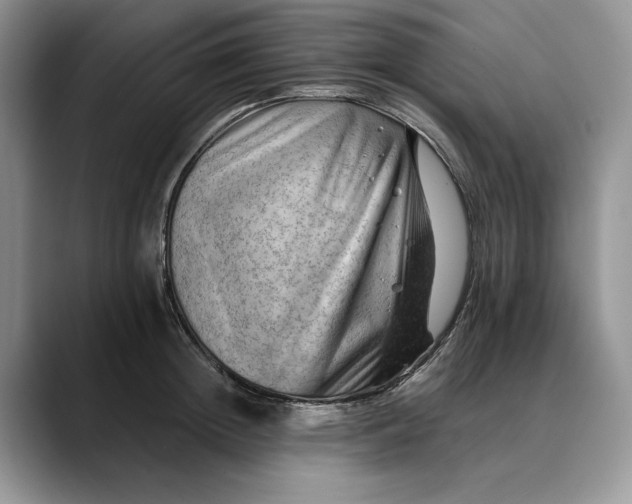 X0000088410852200706121413