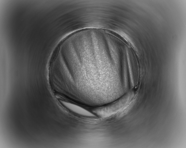 X0000088410854200706121413