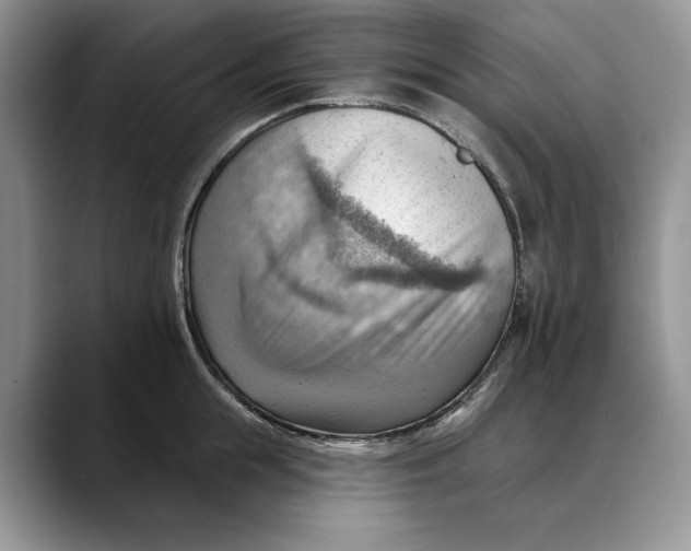 X0000088410855200706121413