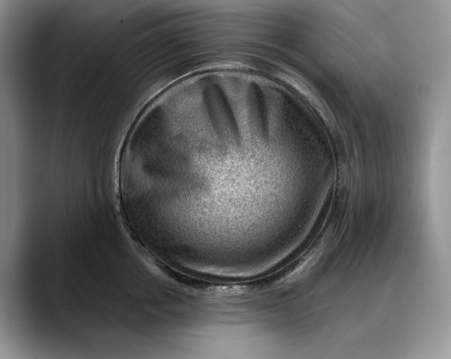 X0000088410858200706121413