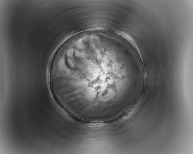 X0000088410859200706121413