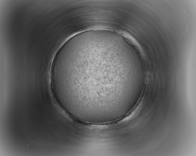 X0000088410860200706121413