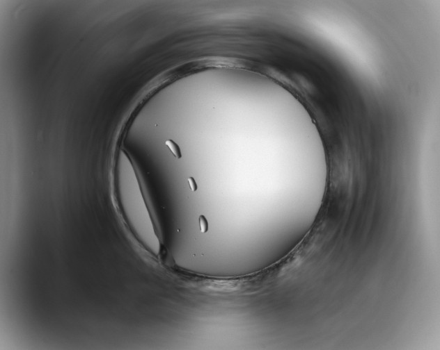 X0000088410861200706121413