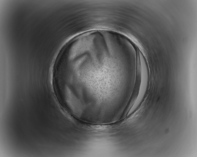 X0000088410862200706121413