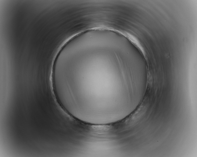 X0000088410863200706121413