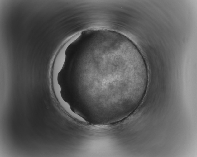 X0000088410864200706121413