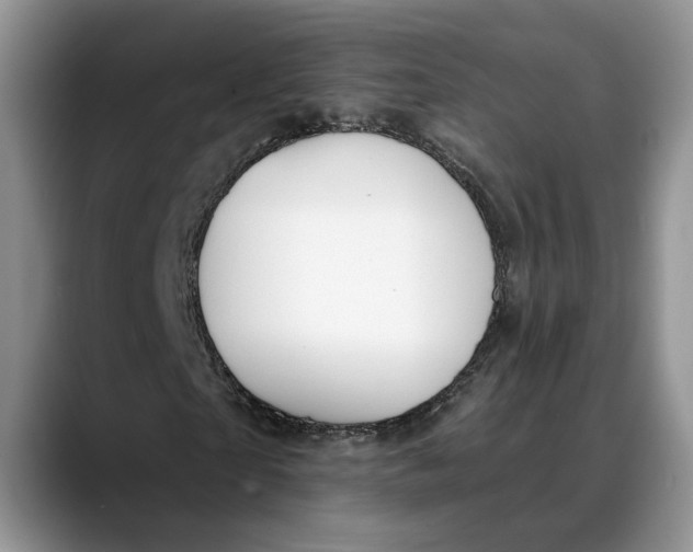 X0000088410865200706121412