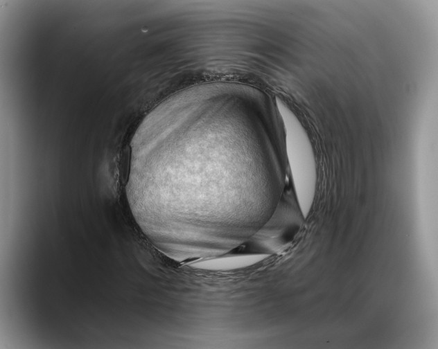 X0000088410868200706121412