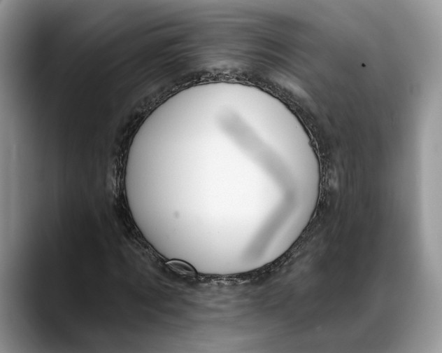 X0000088410869200706121412