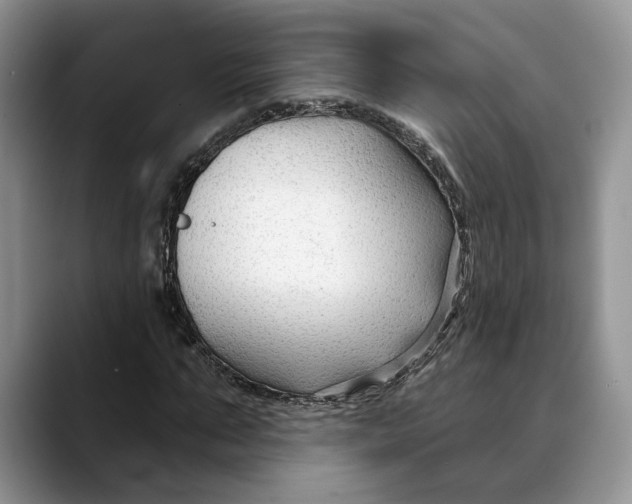 X0000088410871200706121412