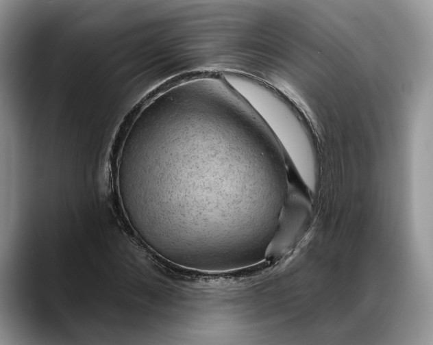 X0000088410876200706121412