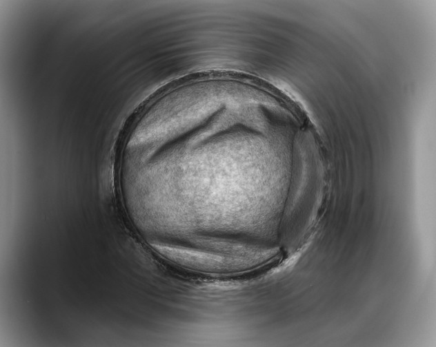 X0000088410877200706121412