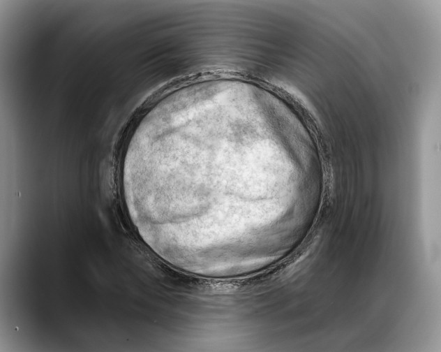 X0000088410878200706121412