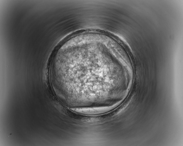 X0000088410879200706121412