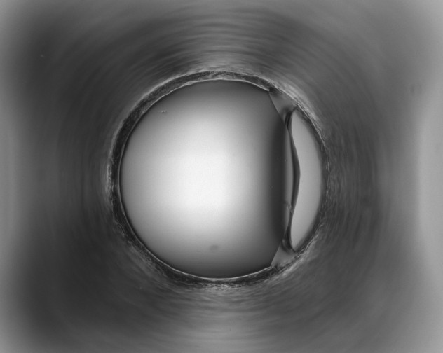 X0000088410880200706121412