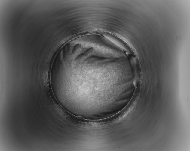 X0000088410881200706121412