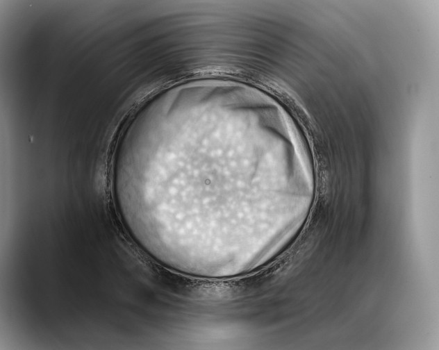 X0000088410882200706121412