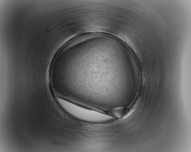 X0000088410885200706121412