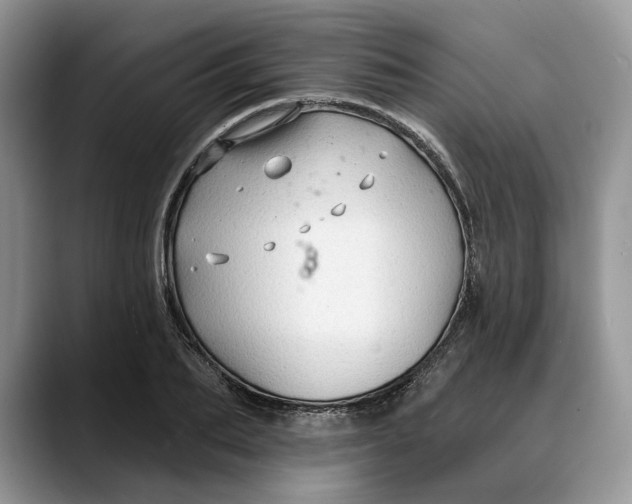 X0000088410887200706121412