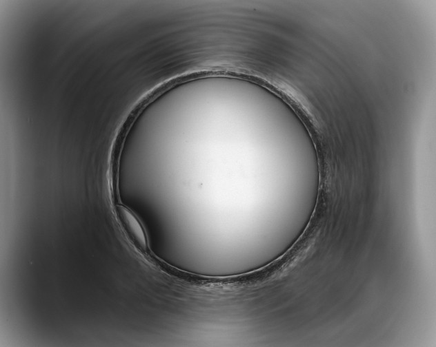 X0000088410888200706121412