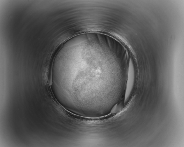 X0000088410889200706121412