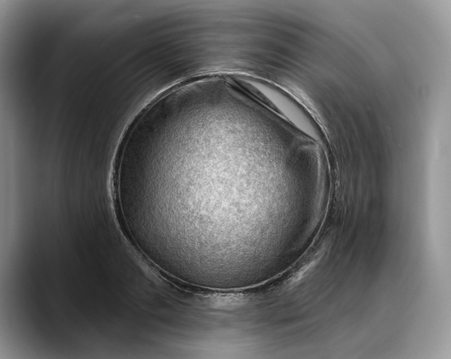 X0000088410893200706121412