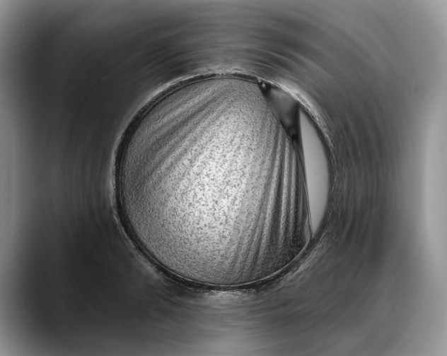 X0000088410894200706121412