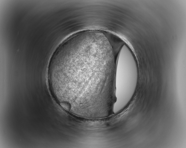 X0000088410895200706121412