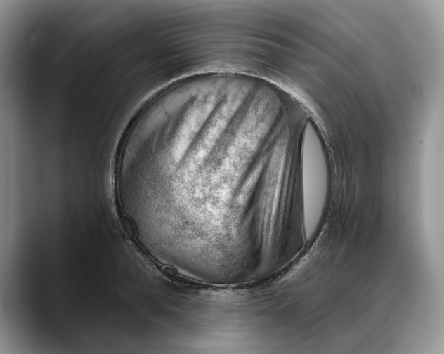 X0000088410896200706121412