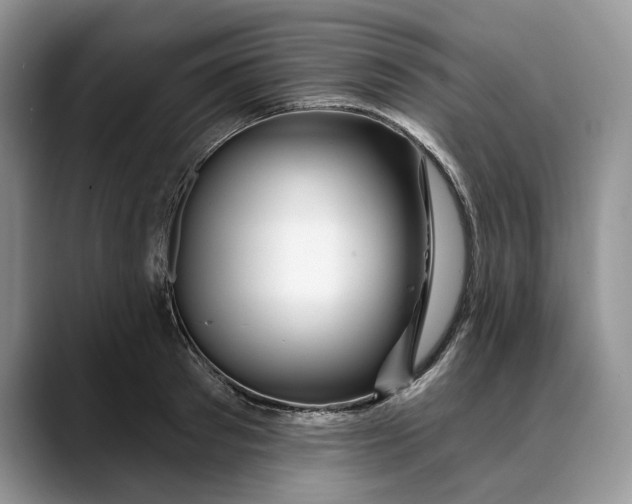 X0000088410897200706121412