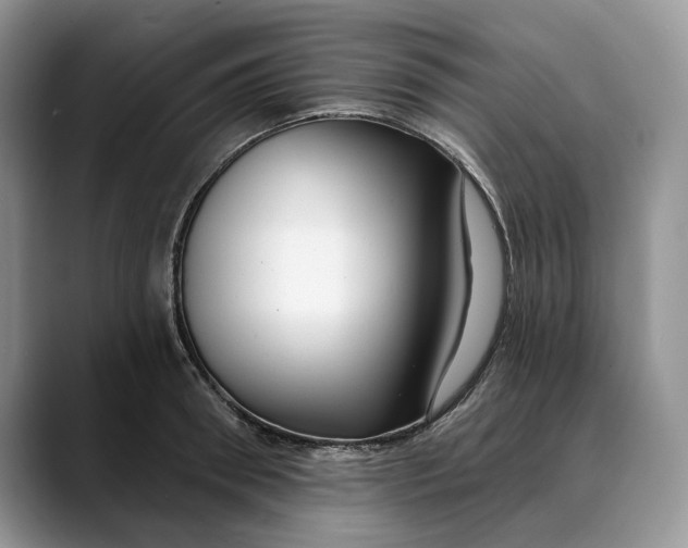 X0000088410898200706121412