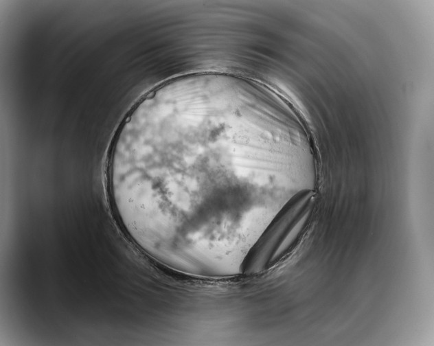 X0000088410899200706121412