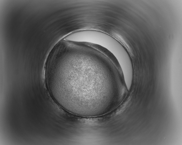 X0000088410900200706121412