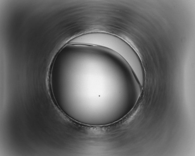 X0000088410901200706121412