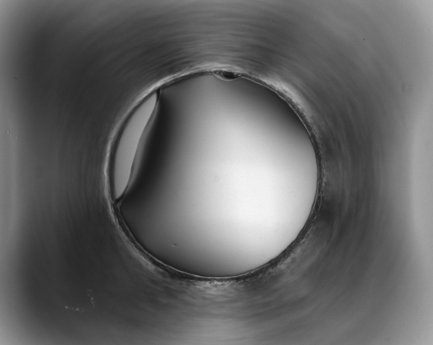 X0000088410902200706121412