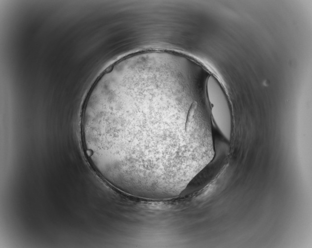 X0000088410903200706121412