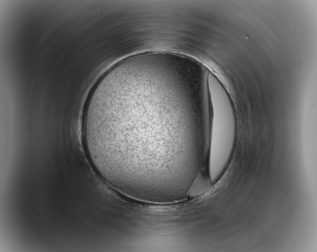 X0000088410904200706121412