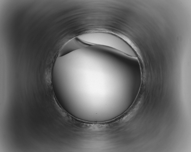 X0000088410905200706121412