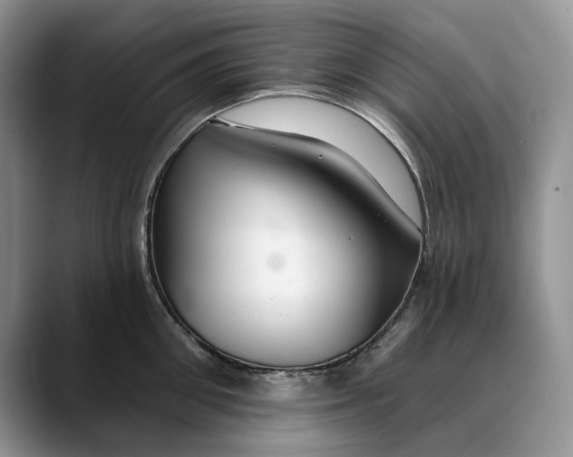 X0000088410906200706121412