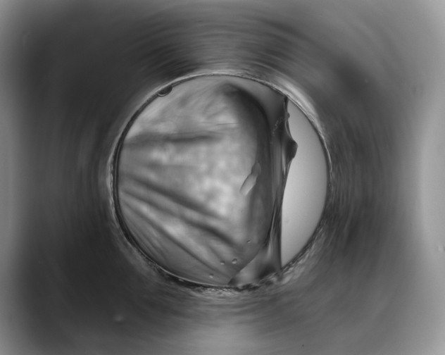 X0000088410907200706121412