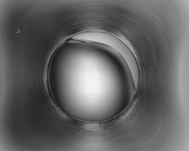 X0000088410909200706121412