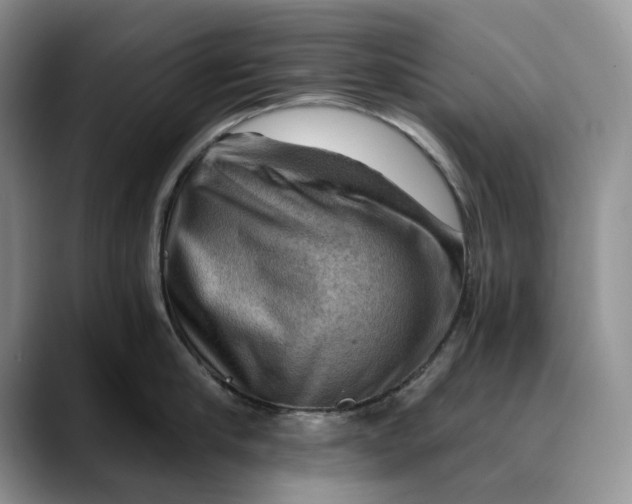 X0000088410910200706121412