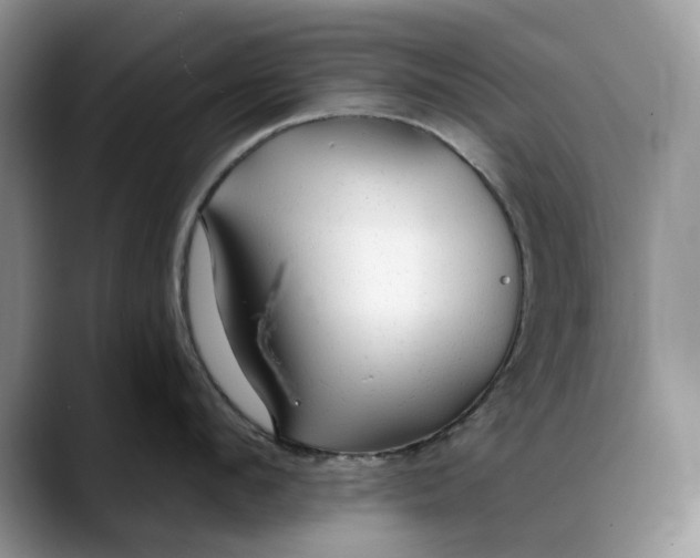 X0000088410912200706121412